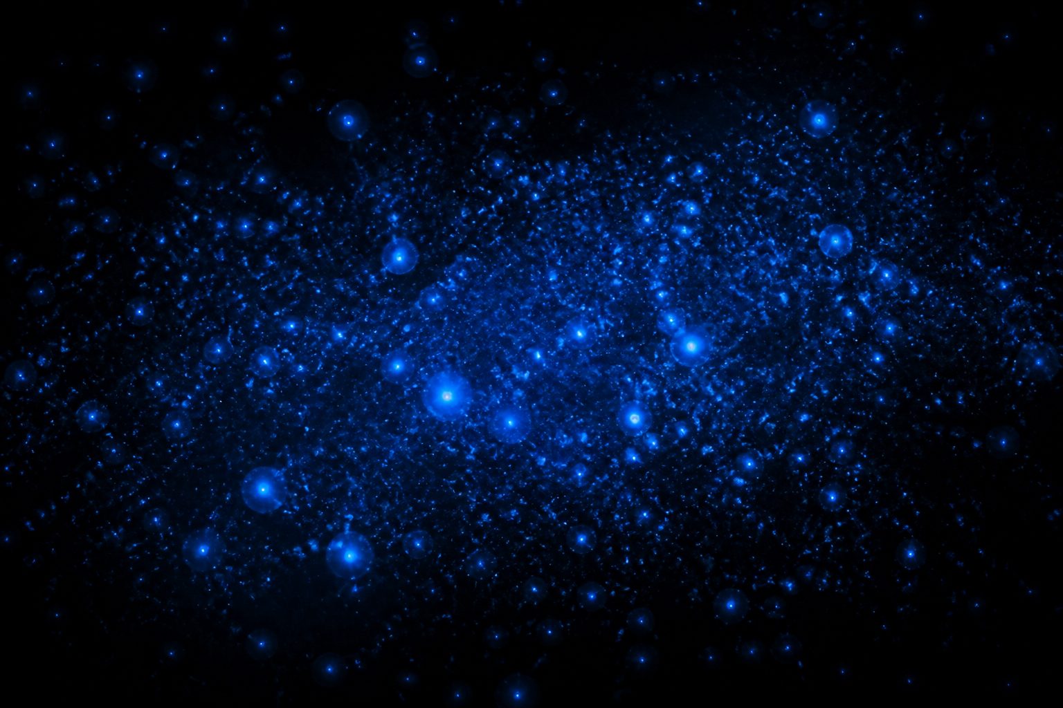 ヤコウチュウ（Noctiluca scintillans）