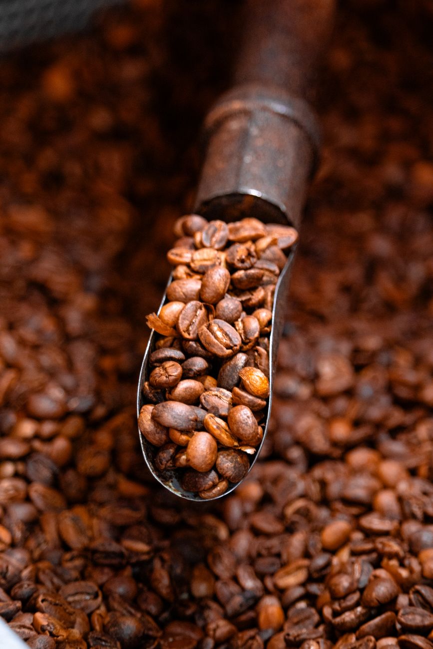Ethiopia Yirgacheffe Konga の焙煎豆