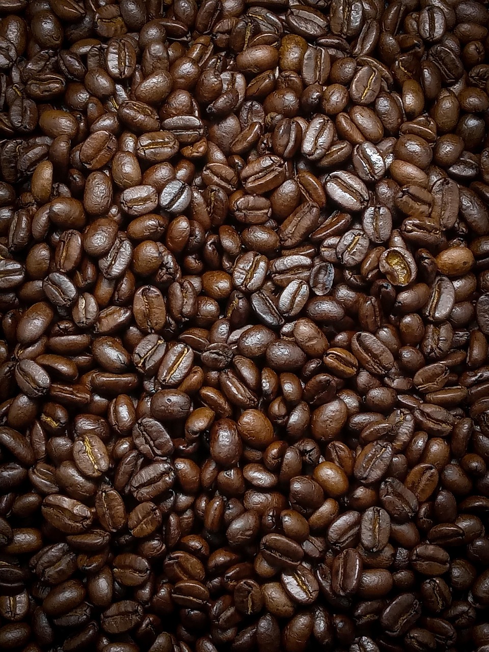 Kenya Nyeri Gichathaini AA の焙煎豆