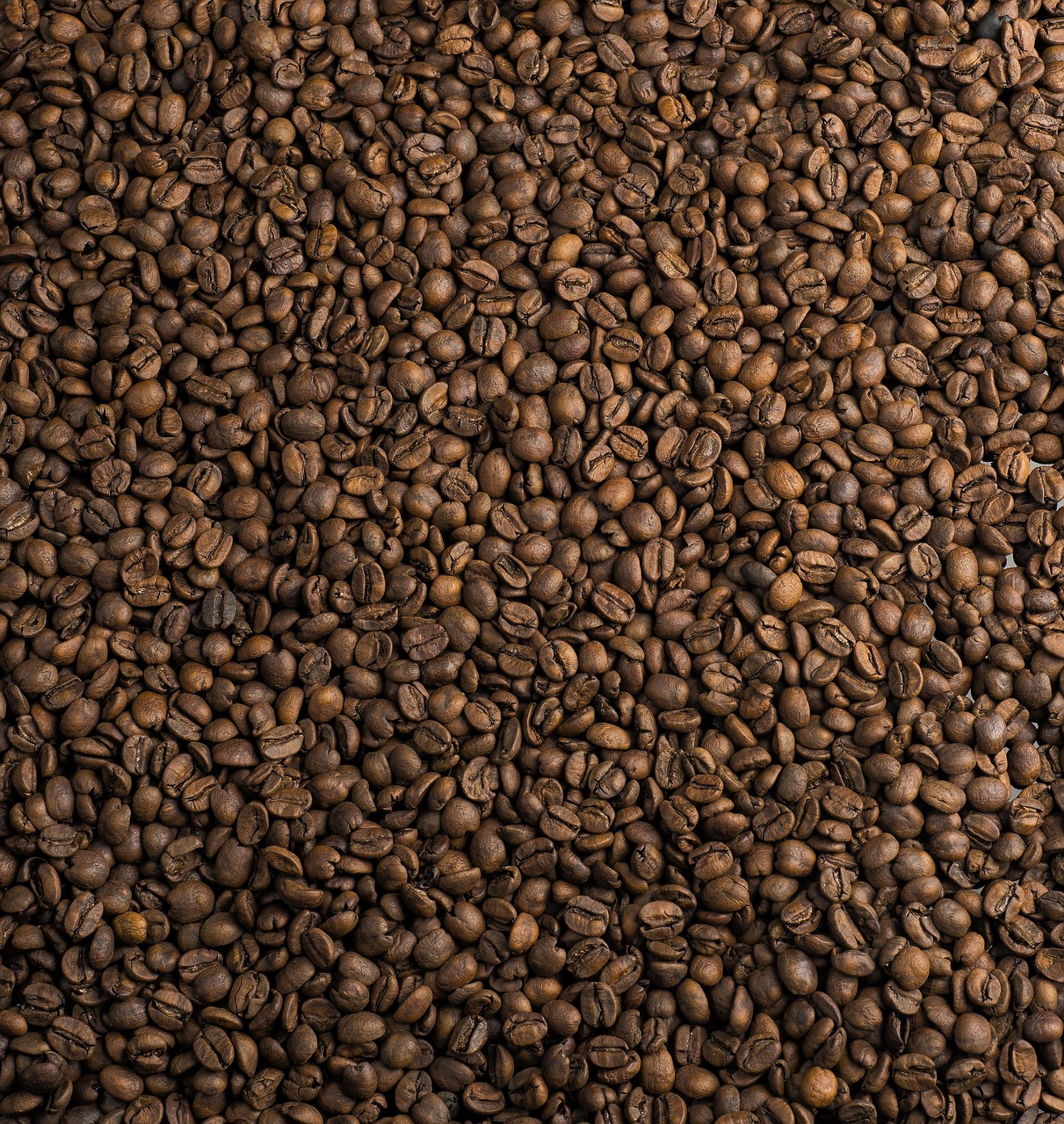 Guatemala Antigua La Soledad の焙煎豆
