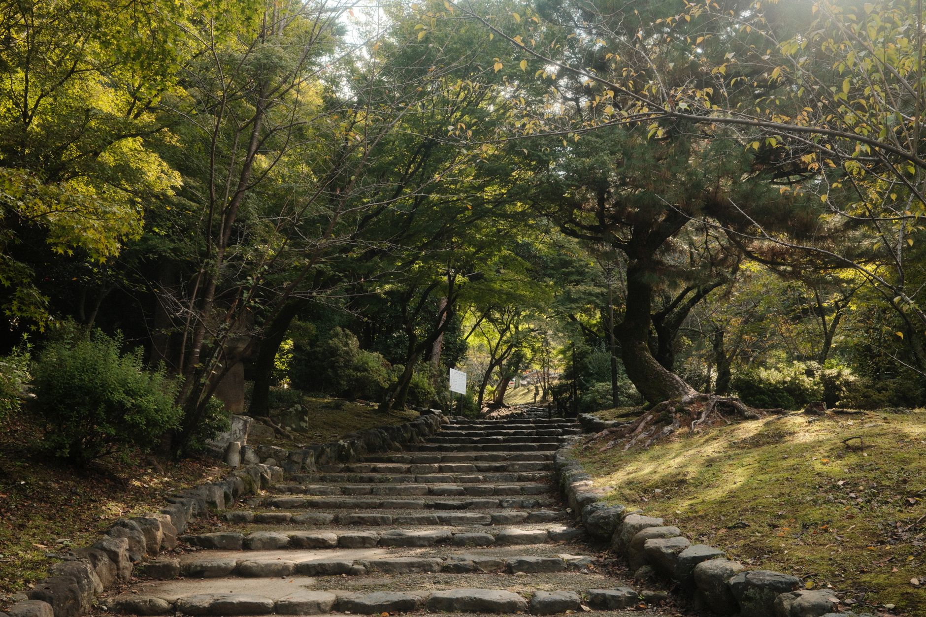 到着 — 気配で迎える