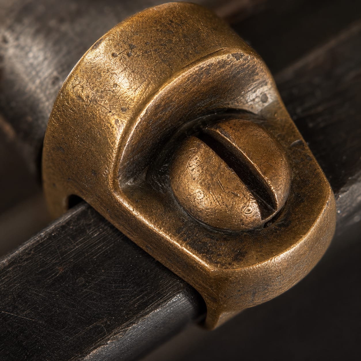 An aged brass bracket and screw head from the shelving