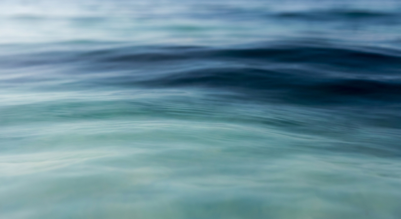 海面の断面。浅瀬から深海までの層